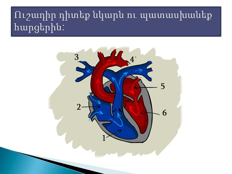 Ուշադիր դիտեք նկարն ու պատասխանեք հարցերին: