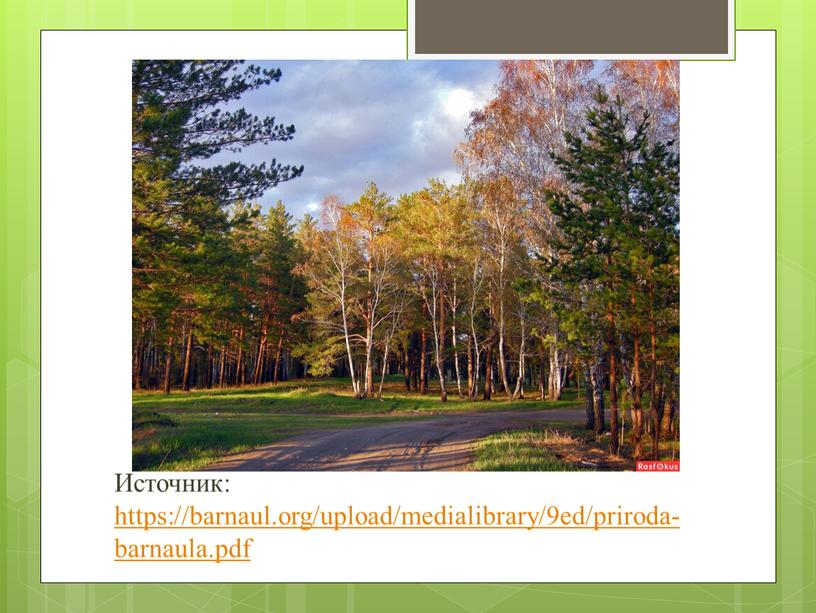 Источник: https://barnaul.org/upload/medialibrary/9ed/priroda-barnaula