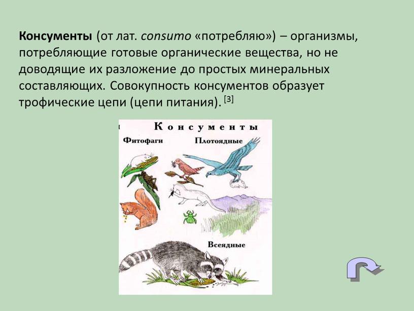 Консументы (от лат. consumo «потребляю») – организмы, потребляющие готовые органические вещества, но не доводящие их разложение до простых минеральных составляющих