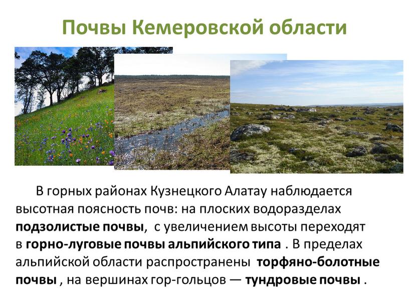 Почвы Кемеровской области