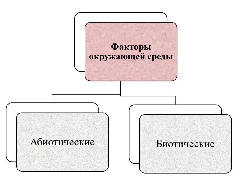 Презентация "Физиологическая приспособленность растений к внешним условиям среды"