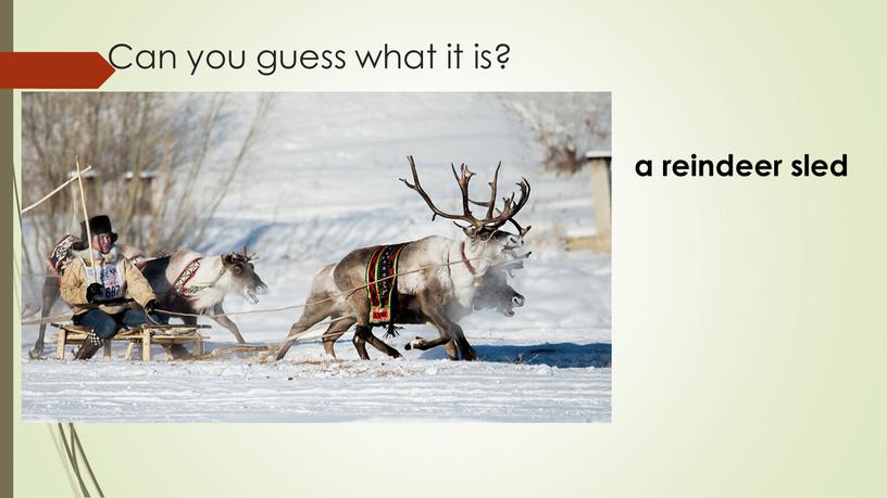 Can you guess what it is? a reindeer sled