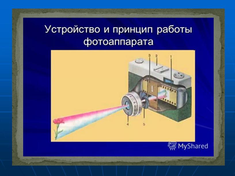 Презентация для кружка "Юный исследователь" по теме "Человеческий глаз и фотоаппарат"