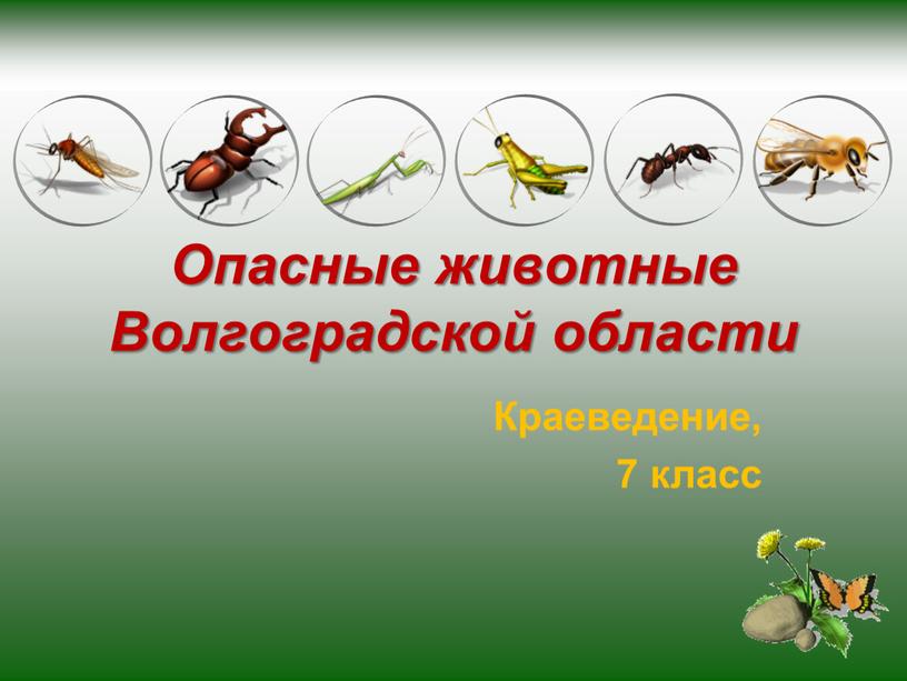 Опасные животные Волгоградской области