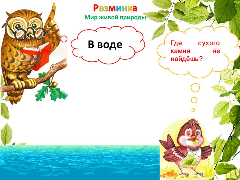 Разминка Мир живой природы Где сухого камня не найдёшь?