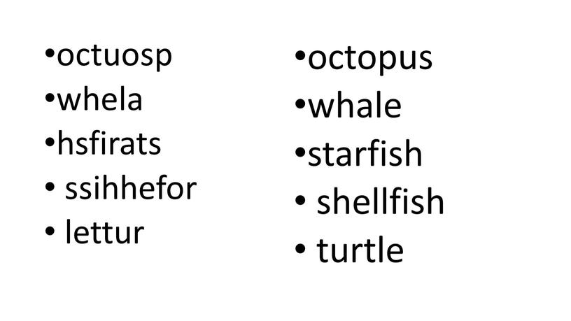 octuosp whela hsfirats ssihhefor lettur octopus whale starfish shellfish turtle