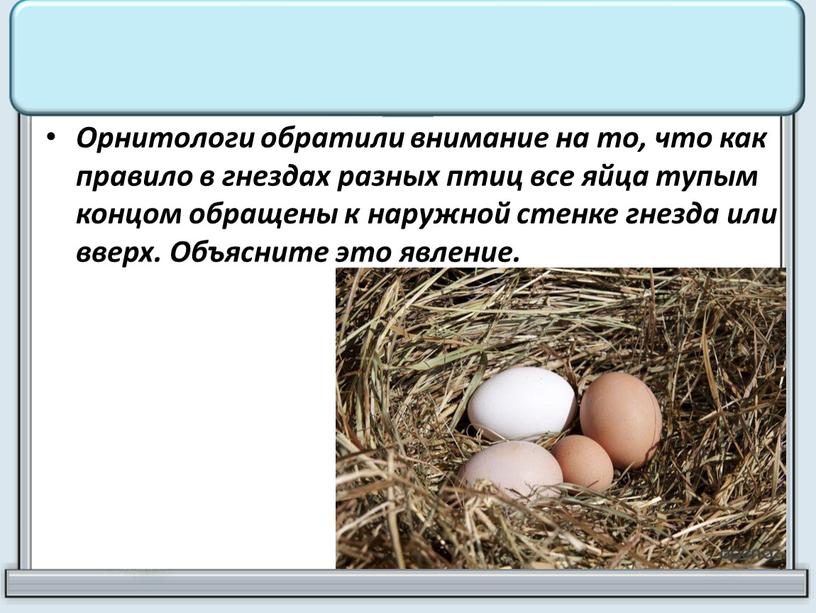 Орнитологи обратили внимание на то, что как правило в гнездах разных птиц все яйца тупым концом обращены к наружной стенке гнезда или вверх