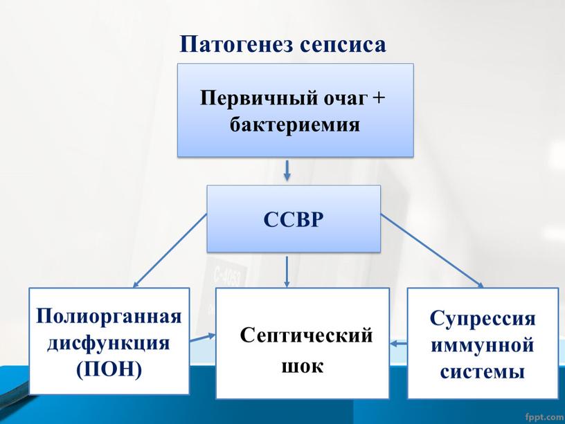 Патогенез сепсиса Первичный очаг + бактериемия