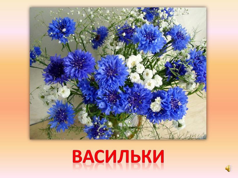 васильки