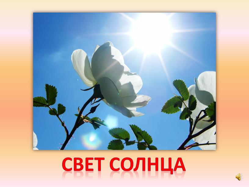 свет солнца