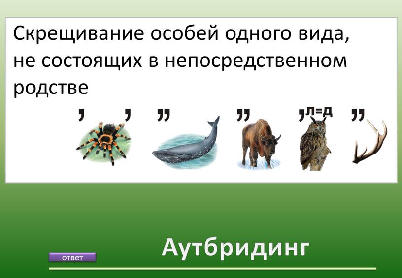 Аутбридинг Скрещивание особей одного вида, не состоящих в непосредственном родстве