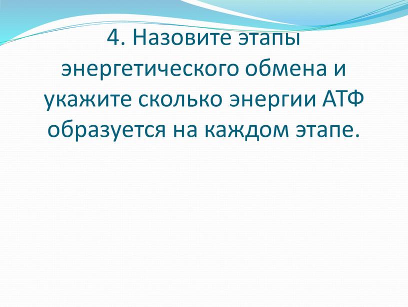 Назовите этапы энергетического обмена и укажите сколько энергии