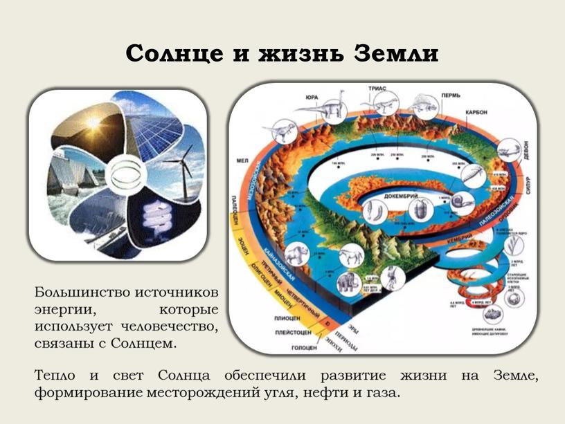 Тепло и свет Солнца обеспечили развитие жизни на