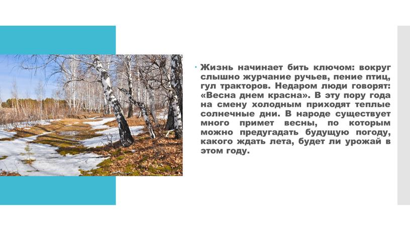 Жизнь начинает бить ключом: вокруг слышно журчание ручьев, пение птиц, гул тракторов