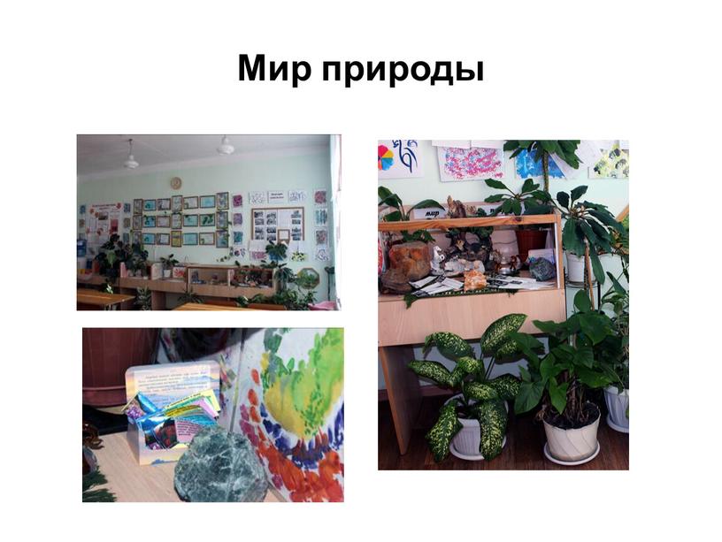 Мир природы