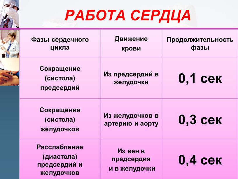 РАБОТА СЕРДЦА Фазы сердечного цикла