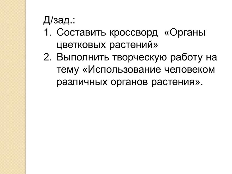 Д/зад.: Составить кроссворд «Органы цветковых растений»