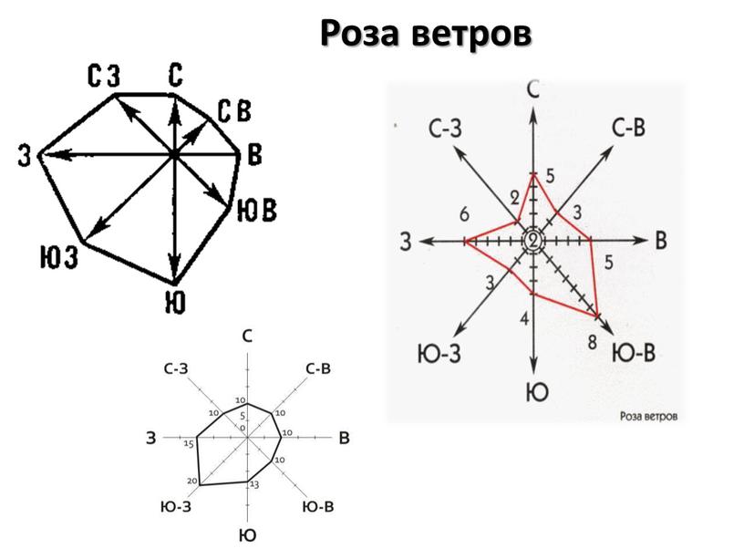 Роза ветров