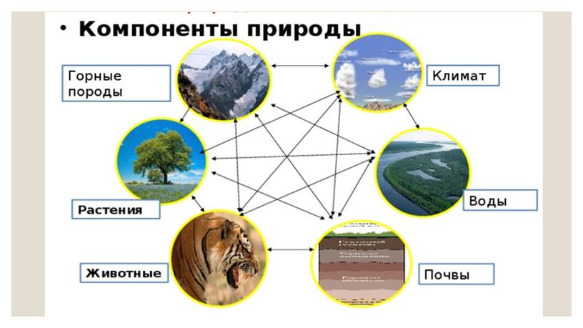 Презентация к уроку географии "Природное районирование России"