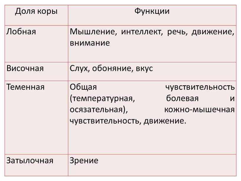 Доля коры Функции Лобная Мышление, интеллект, речь, движение, внимание