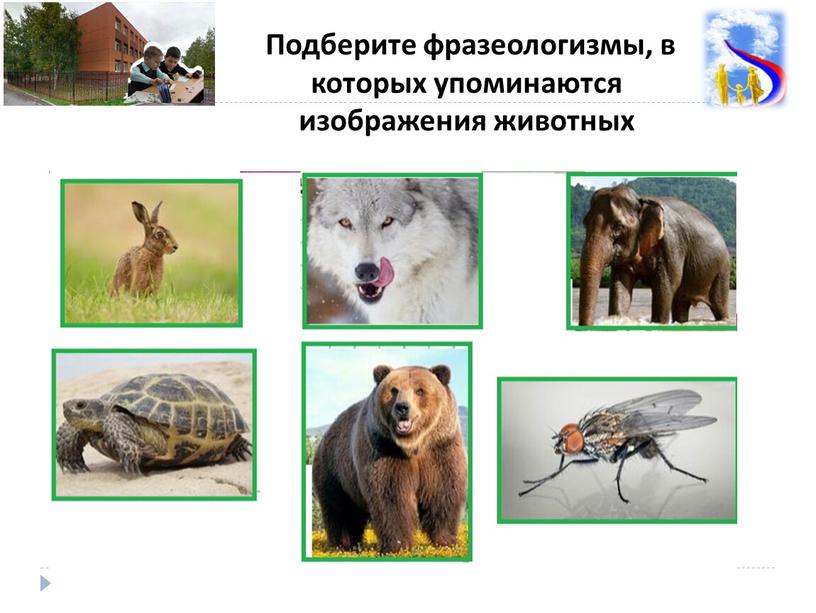 Подберите фразеологизмы, в которых упоминаются изображения животных