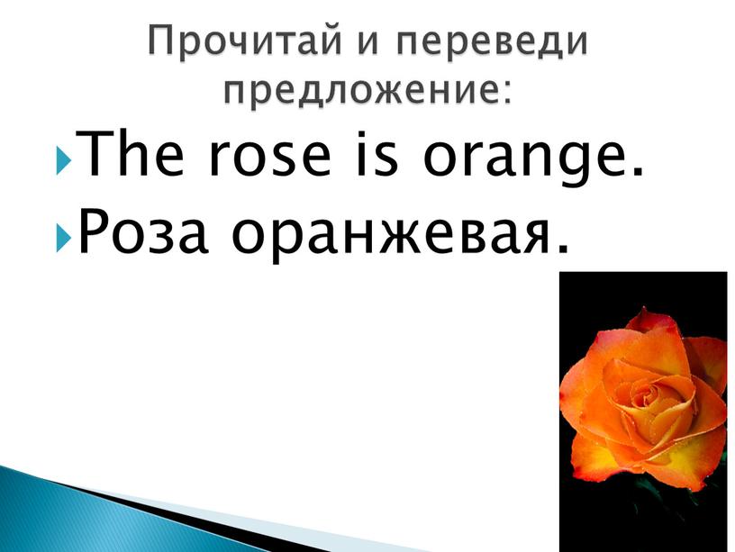 The rose is orange. Роза оранжевая