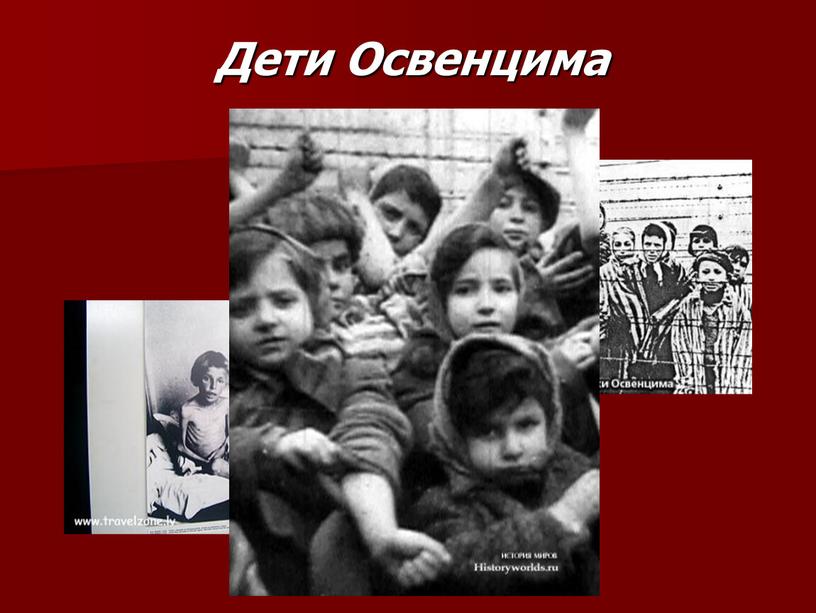 Дети Освенцима