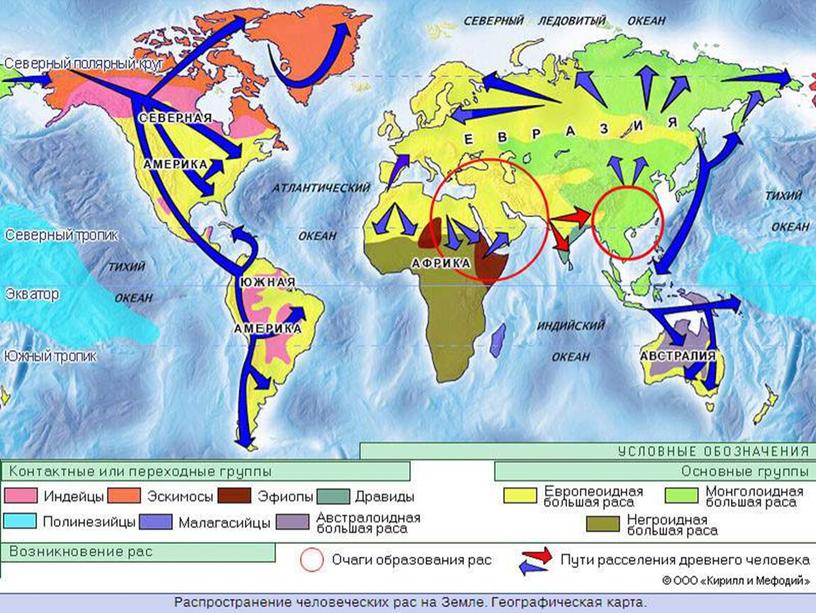 Презентация к уроку географии в 7 классе "История заселения Земли.Расы"
