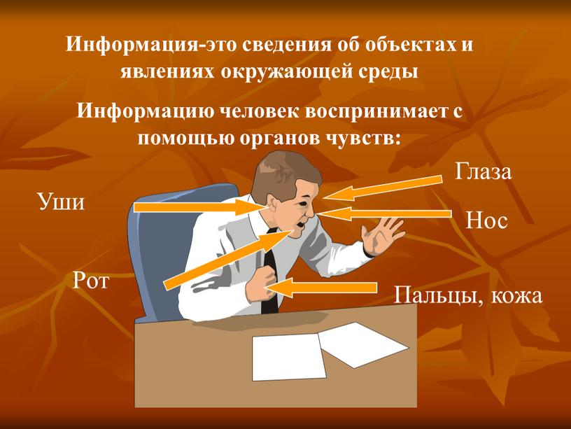 Информация-это сведения об объектах и явлениях окружающей среды