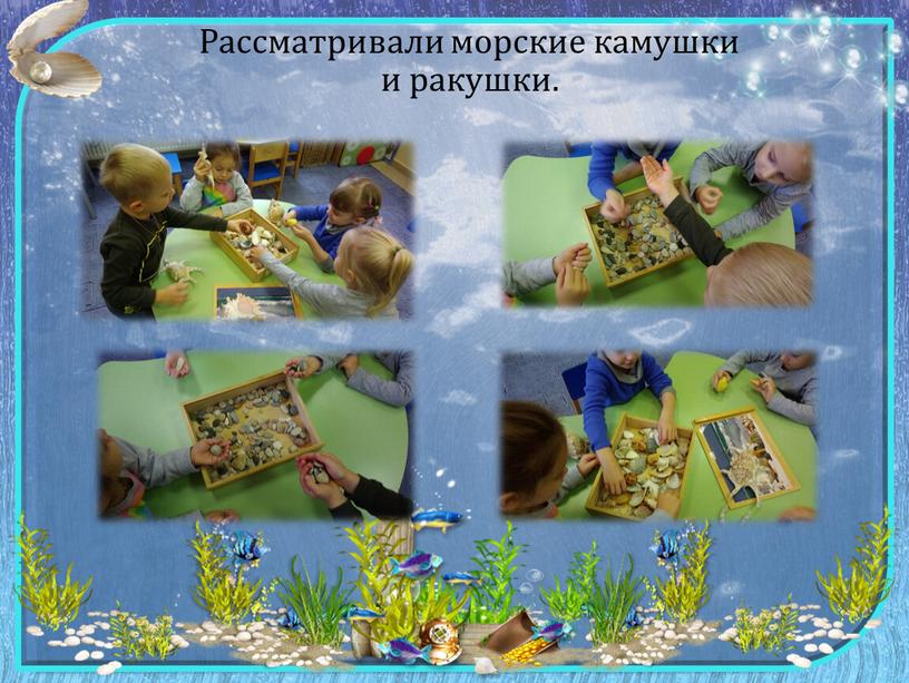 Рассматривали морские камушки и ракушки