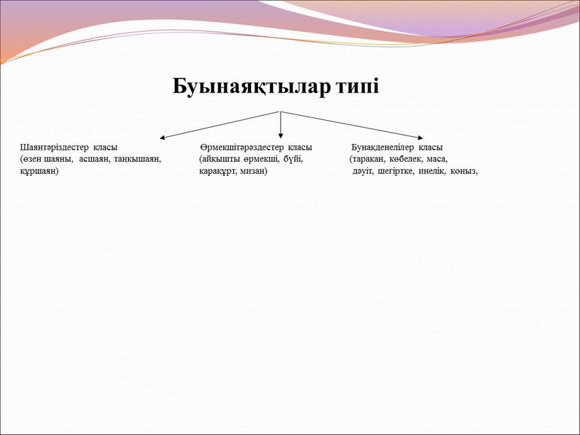 Буынаяқтылар типі Шаянтәріздестер класы Өрмекшітәрәздестер класы