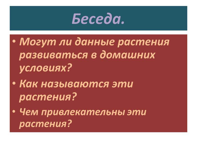 Беседа. Могут ли данные растения развиваться в домашних условиях?