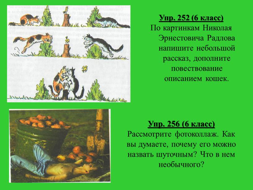 Упр. 252 (6 класс) По картинкам