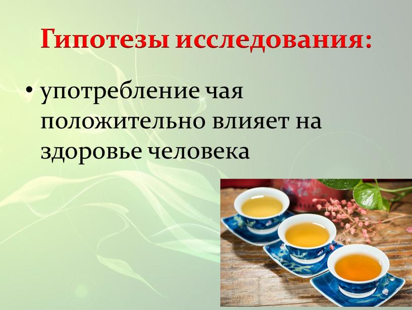 Гипотезы исследования: употребление чая положительно влияет на здоровье человека