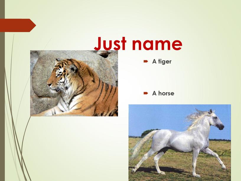 Just name A tiger A horse