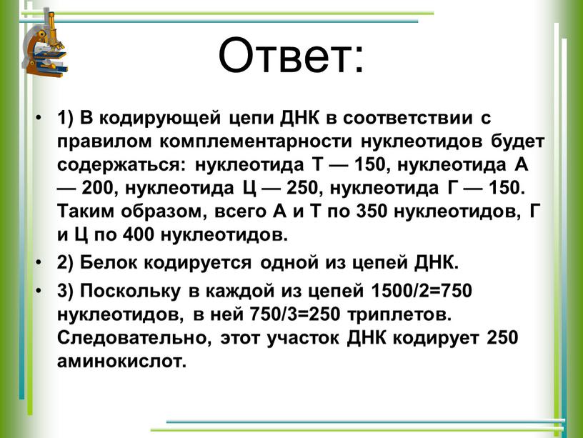 Ответ: 1) В кодирующей цепи ДНК в соответствии с правилом комплементарности нуклеотидов будет содержаться: нуклеотида