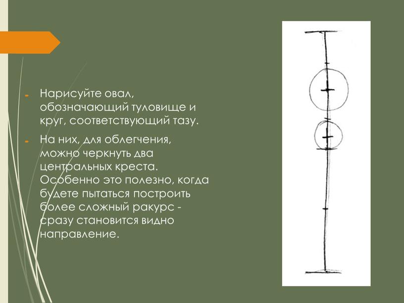 Нарисуйте овал, обозначающий туловище и круг, соответствующий тазу