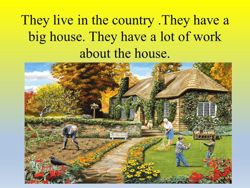 They live in the country .They have a big house