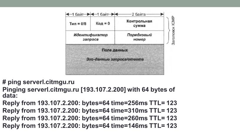 Pinging serverl.citmgu.ru [193