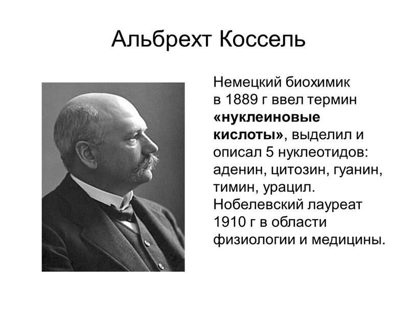 Альбрехт Коссель Немецкий биохимик в 1889 г ввел термин «нуклеиновые кислоты» , выделил и описал 5 нуклеотидов: аденин, цитозин, гуанин, тимин, урацил