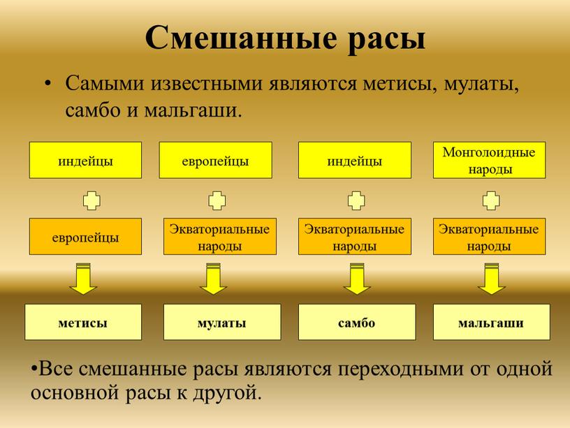 Смешанные расы Самыми известными являются метисы, мулаты, самбо и мальгаши