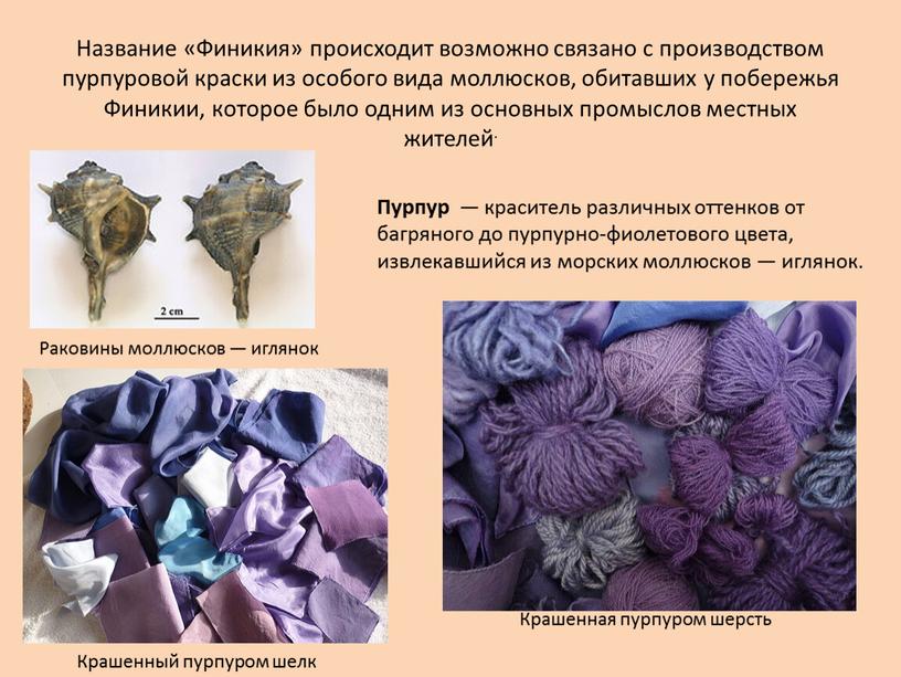 Название «Финикия» происходит возможно связано с производством пурпуровой краски из особого вида моллюсков, обитавших у побережья