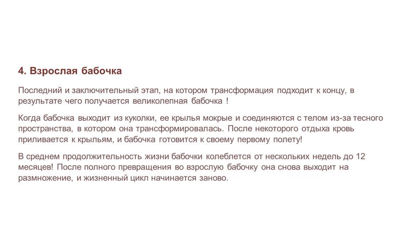 Взрослая бабочка Последний и заключительный этап, на котором трансформация подходит к концу, в результате чего получается великолепная бабочка !