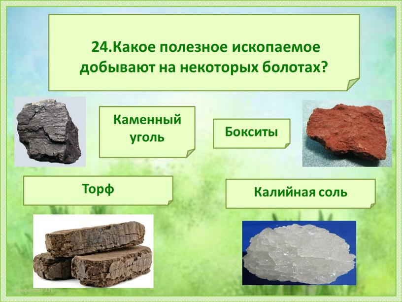 Какое полезное ископаемое добывают на некоторых болотах?