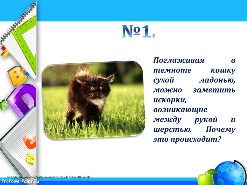 Поглаживая в темноте кошку сухой ладонью, можно заметить искорки, возникающие между рукой и шерстью