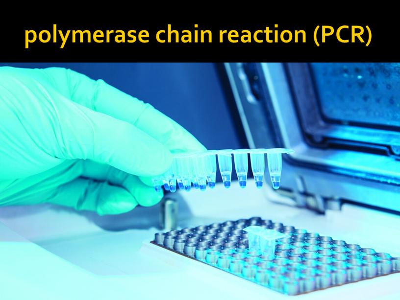 polymerase chain reaction (PCR)