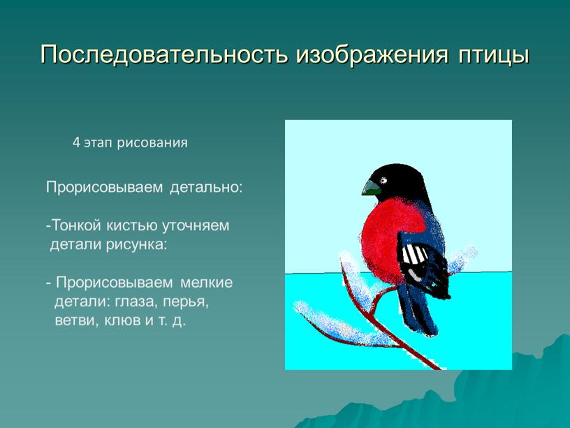 Последовательность изображения птицы 4 этап рисования