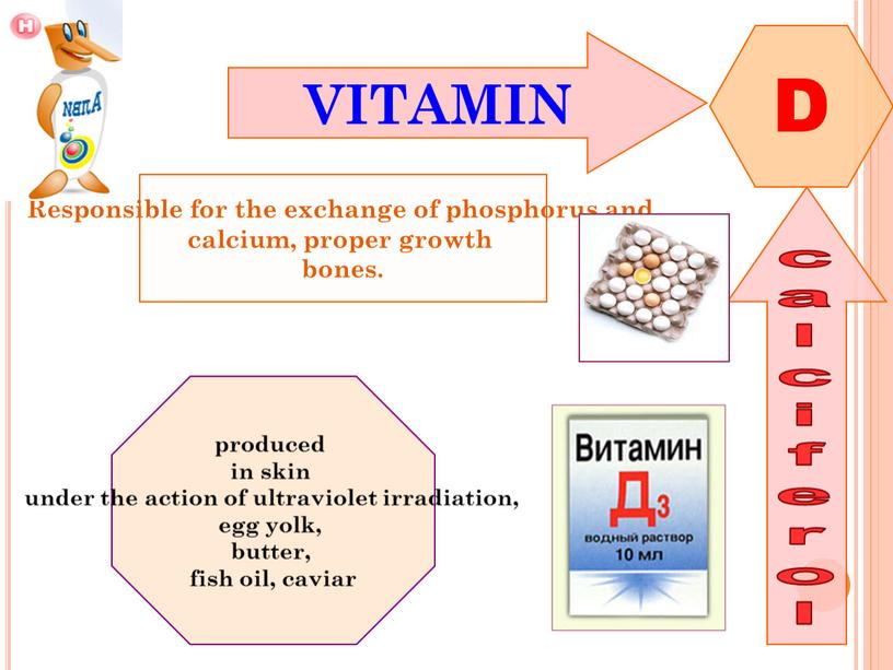 VITAMIN D calciferol Responsible for the exchange of phosphorus and calcium, proper growth bones