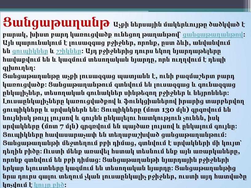 Ցանցաթաղանթ Աչքի ներսային մակերևույթը ծածկված է բարակ, խիստ բարդ կառուցվածք ունեցող թաղանթով՝ ցանցաթաղանթով։ Այն պարունակում է լուսազգաց բջիջներ, որոնք, ըստ ձևի, անվանվում են ցուպիկներ և…