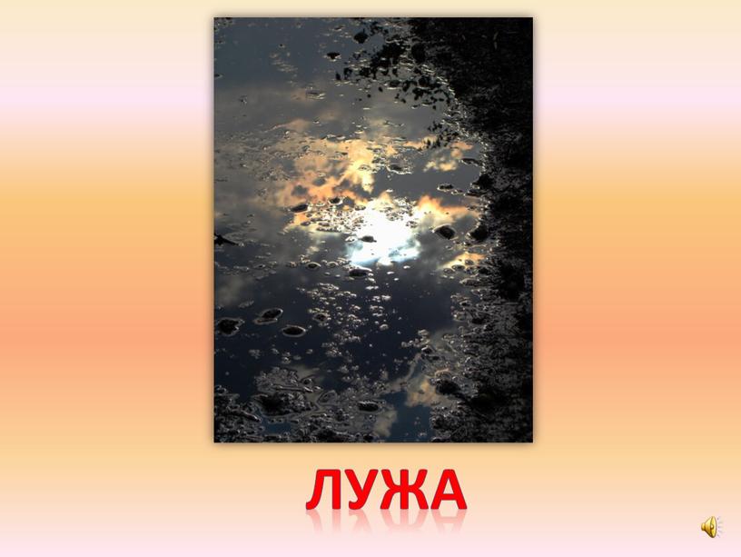 лужа